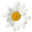 coolscreen.de logo