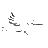 coorong.sa.gov.au logo
