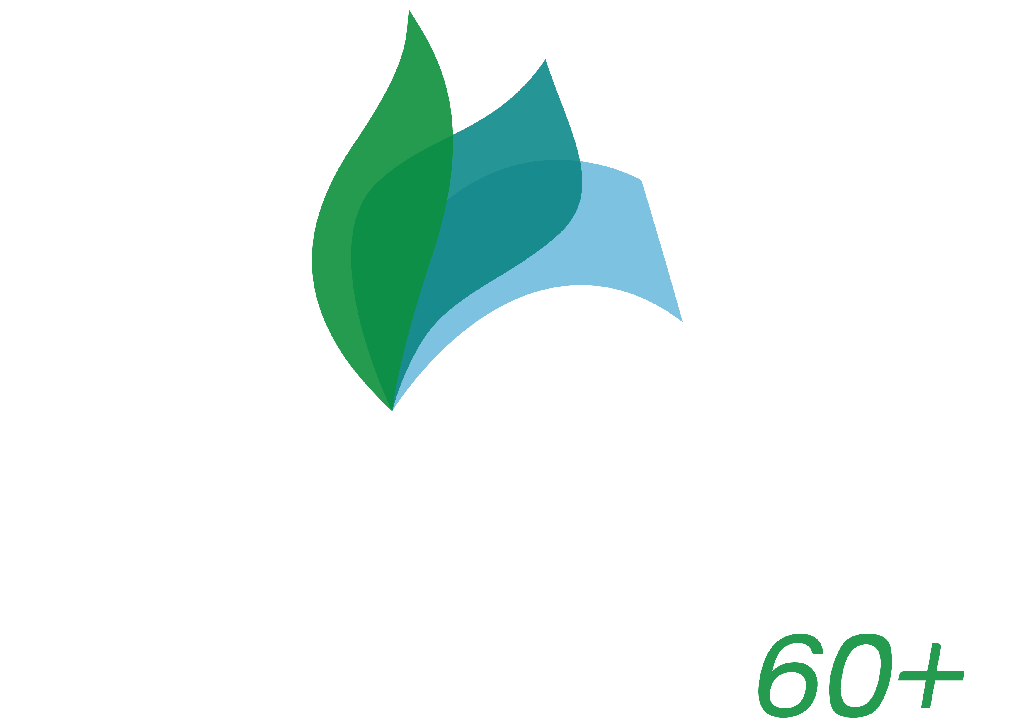copapa.com.br icon