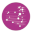 coprobilp.org.ar logo