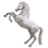 corcelbranco.com logo