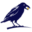 cornix.io logo