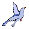 coroesteiro.es icon