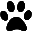 coronacaust.de icon