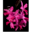 corps-emotion-parole.com icon