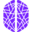 cortivision.com icon