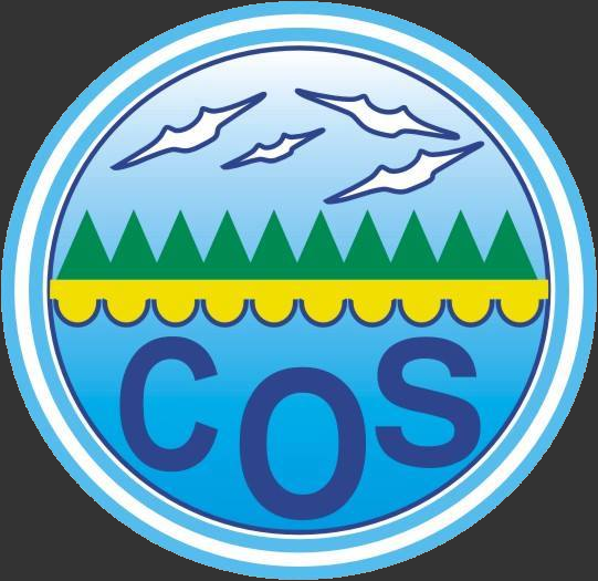 cos.org.ar logo