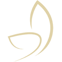 cosmetictattooingbrisbane.com.au icon