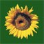 countryfair.nl icon