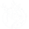 countrysportscotland.com icon