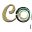 coverlinkinsurance.co.bw logo