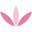 craftcompany.co.uk icon