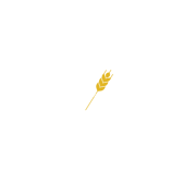 crafthousecorque.com icon