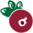 cranberryinstitute.org icon
