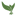 creationtoday.org icon