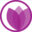 Domain Favicon