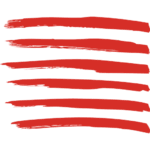 creativevisions.org icon