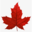 credit-consolidation.ca icon