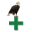 creekhealthcareservices.com icon