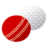 cricket-hockey.com icon