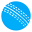 cricket.org icon