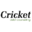 cricketdebt.com logo