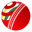 cricketnamibia.com icon