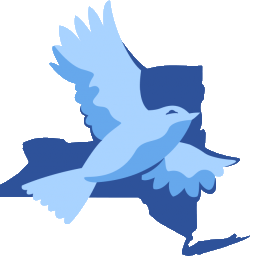 crimevictimshelpny.org icon