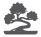 cristinaferretti.com icon
