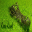croc-cash.com icon