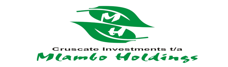 cruscateinvestments.co.zw logo