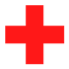 cruzrojacorrientes.online icon
