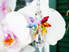 https://www.crystalbluedesigns.com/