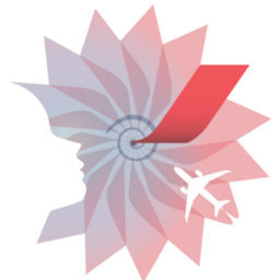 cseei-airfrance.fr icon