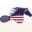csisaddlepads.com icon