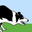 csjk9.com icon