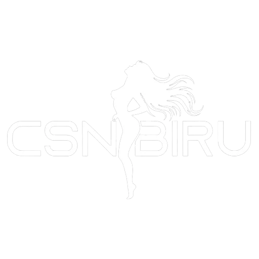 csnbiru.blog icon