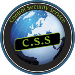 cssfleet.it icon