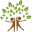 cssmt.org icon