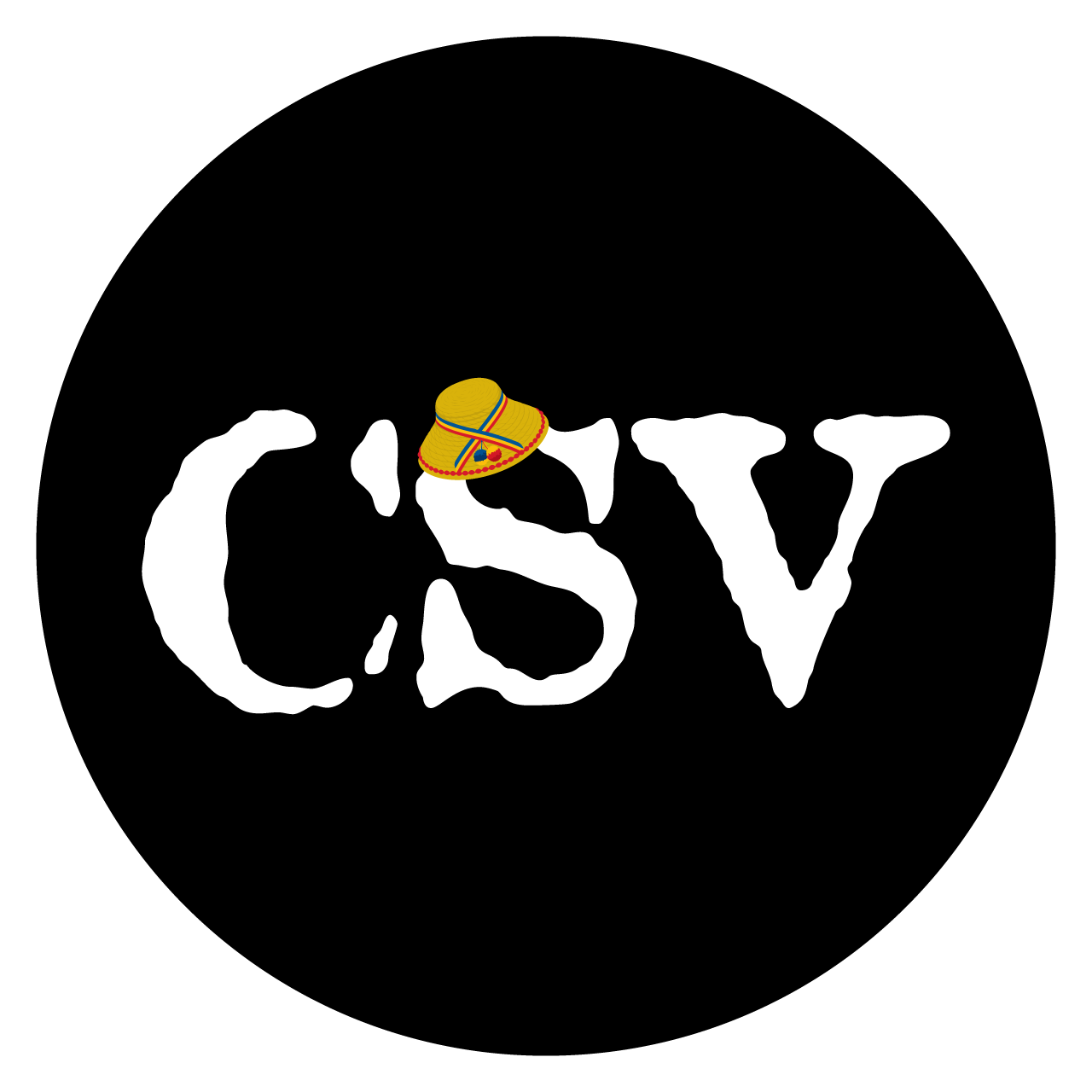 csv.ro icon