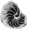 cthulhu-webshop.de icon