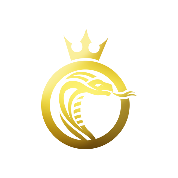 ctpreschoolofthearts.com icon