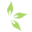 cuisine-saine.fr icon
