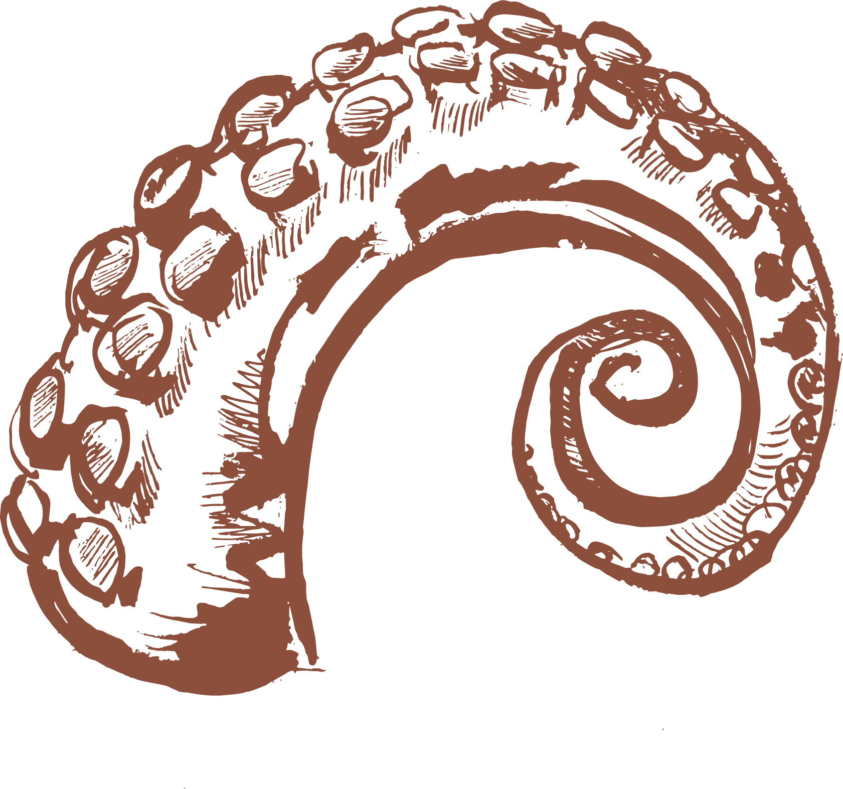 curatetapasbar.com icon