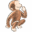 curiousgeorge.com icon