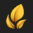 curtistea.com icon