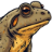 cururu.dev icon