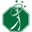 Custom Golf Stop logo