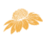 cutleafjournal.com icon