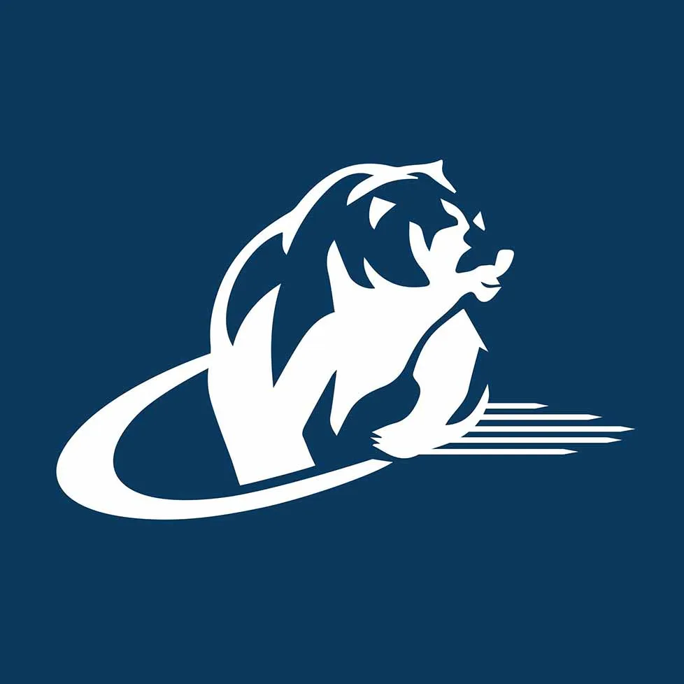 cybernet1.com icon